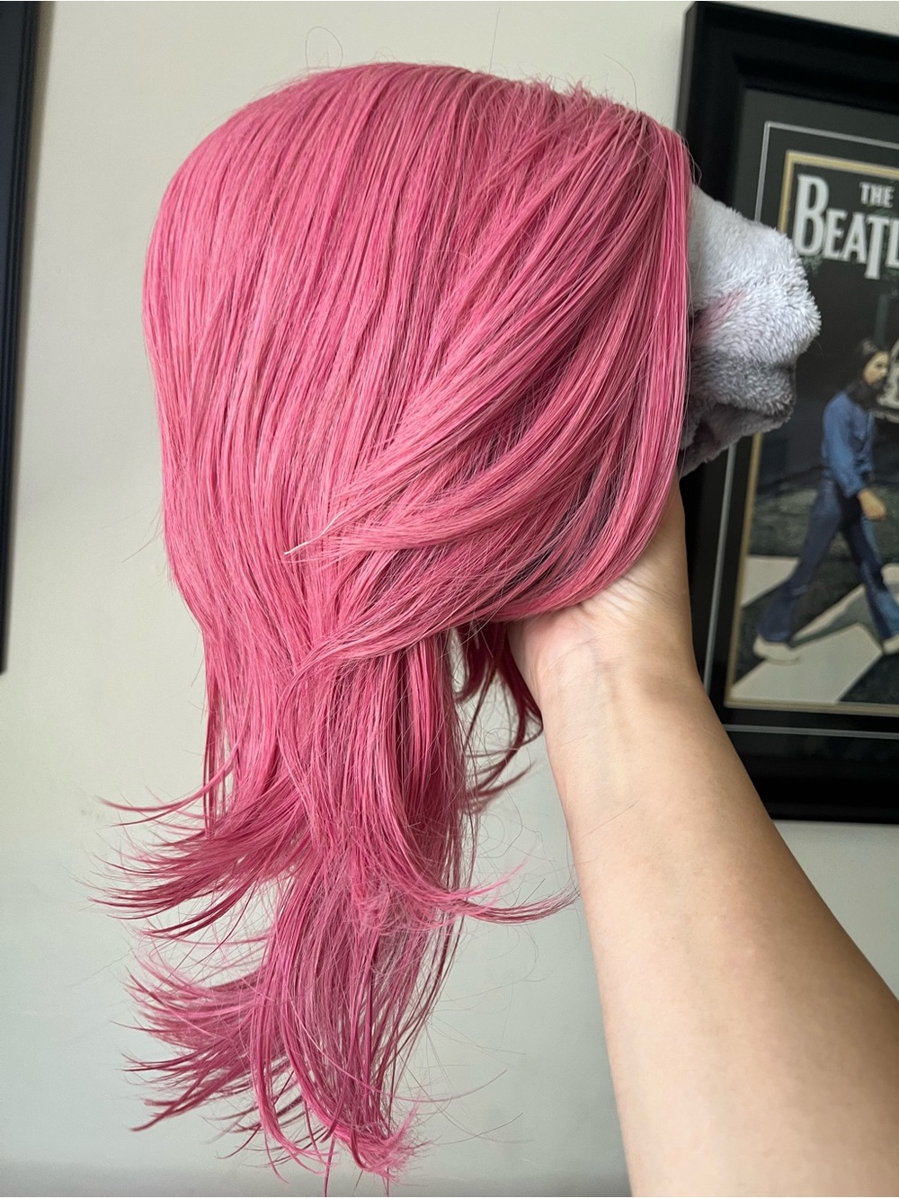 Saja Boys Saja Romance Halloween Wig